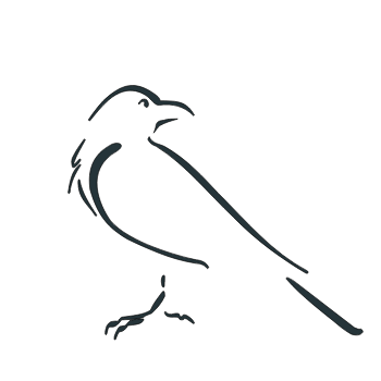 Corvax logo of a raven